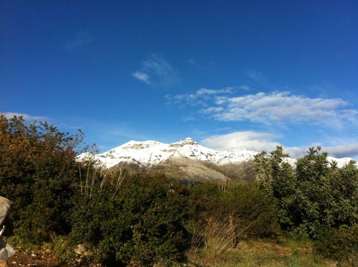 Villa Treglia B&B Formia Eksteriør billede