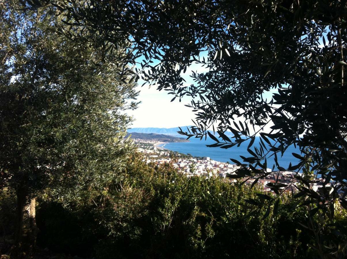 Villa Treglia B&B Formia Eksteriør billede