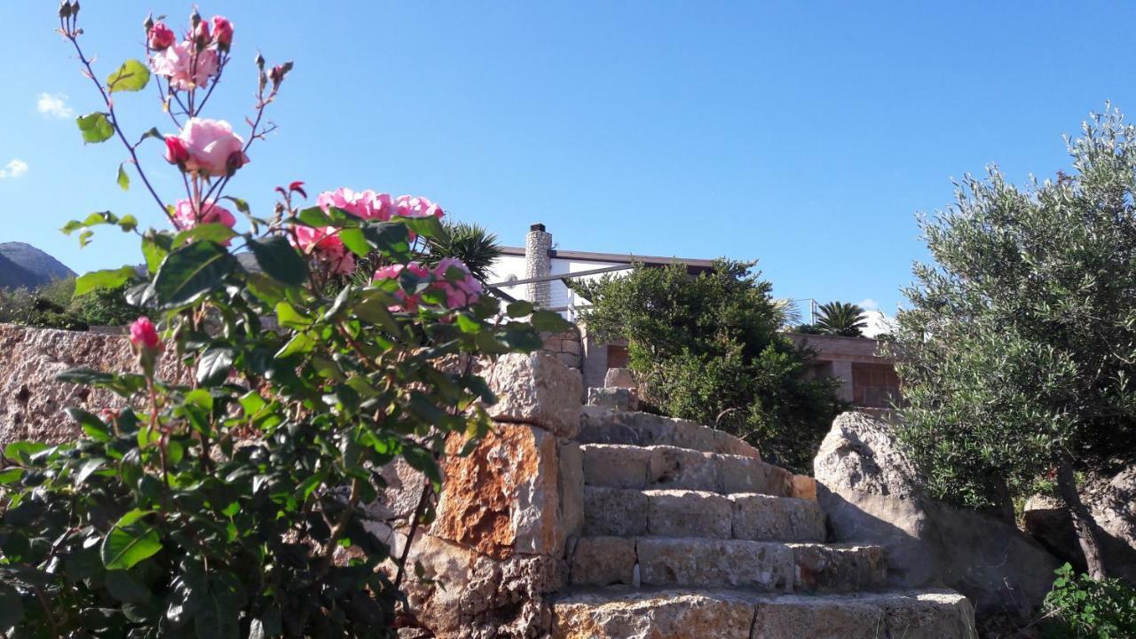 Villa Treglia B&B Formia Eksteriør billede